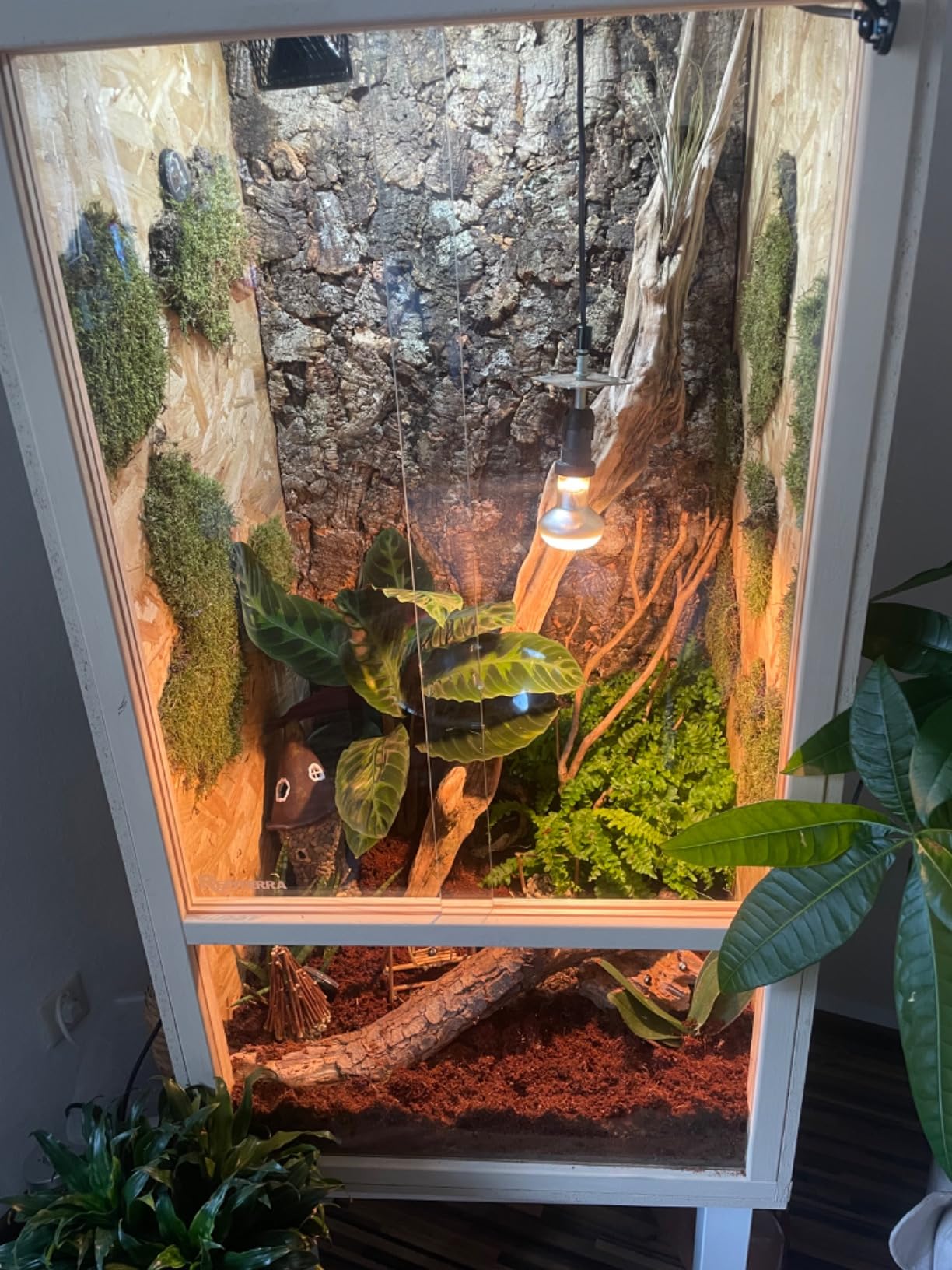 Repiterra Hoch-Terrarium 60x120x60 cm Frontbelüftung