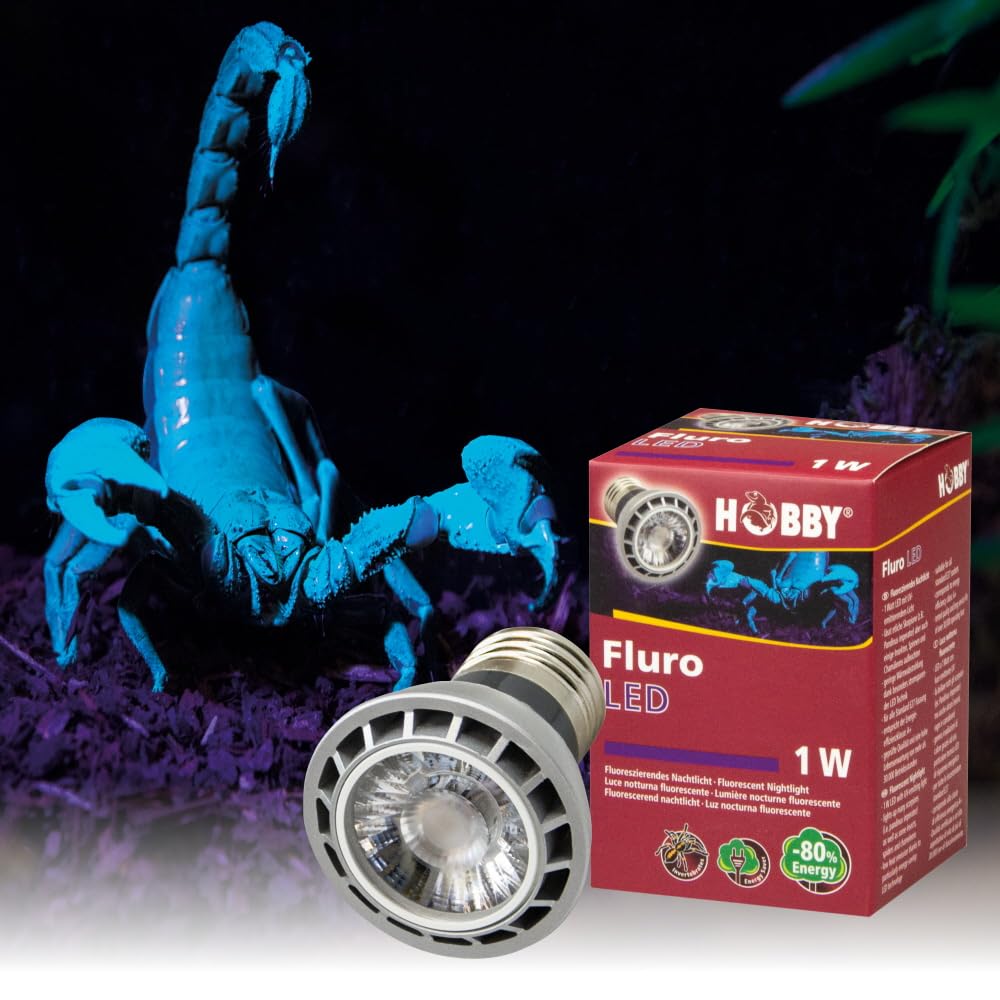 Hobby Fluro LED 1W E27 Lampe UV-Licht