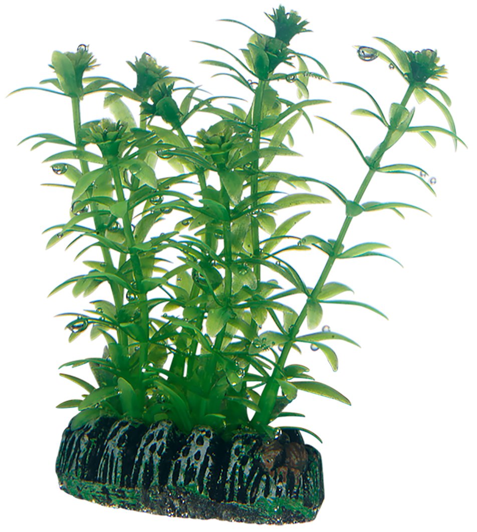 Hobby Lagarosiphon Kunstpflanze 60 cm wasserneutral