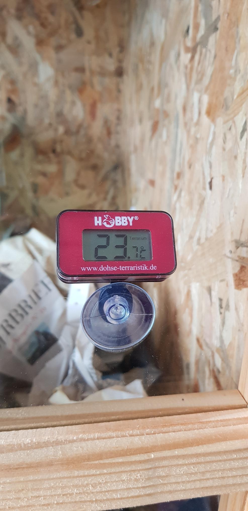 Hobby DT1 Digital-Thermometer dunkelrot Terrarium