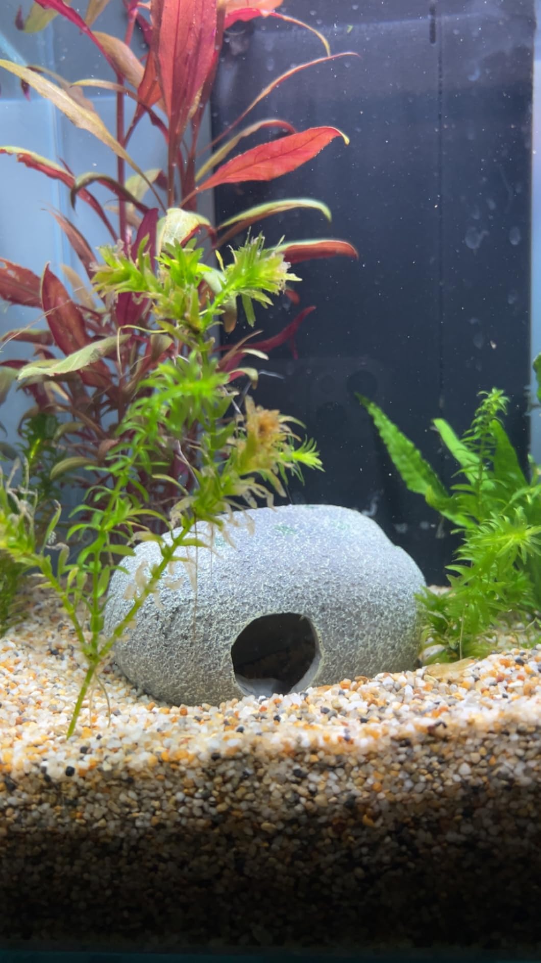 Hobby Marble Cave 2 Aquariumhöhle 8,5x9,5x8,5 cm Kunstharz