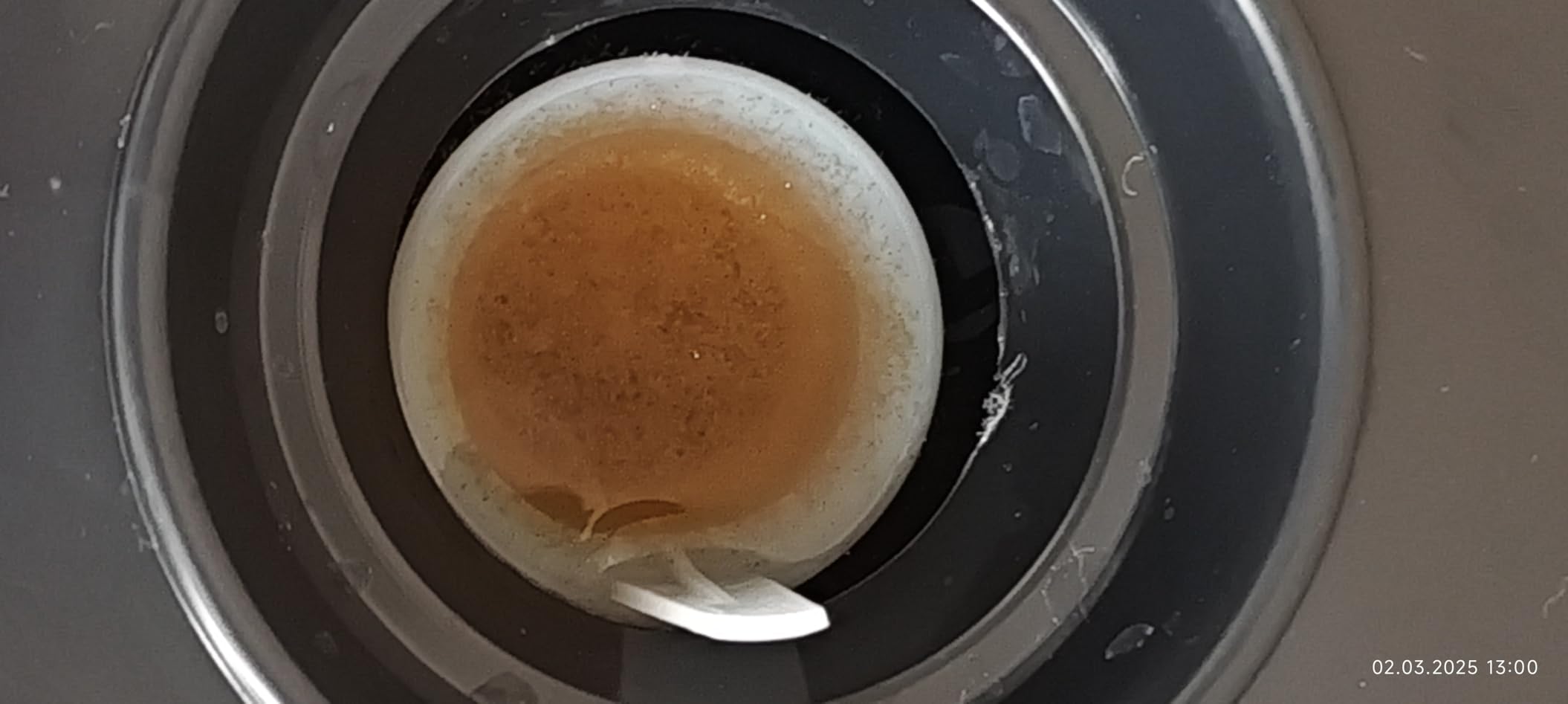 Hobby Artemia Aufzuchtschale mit Sieb und Löffel