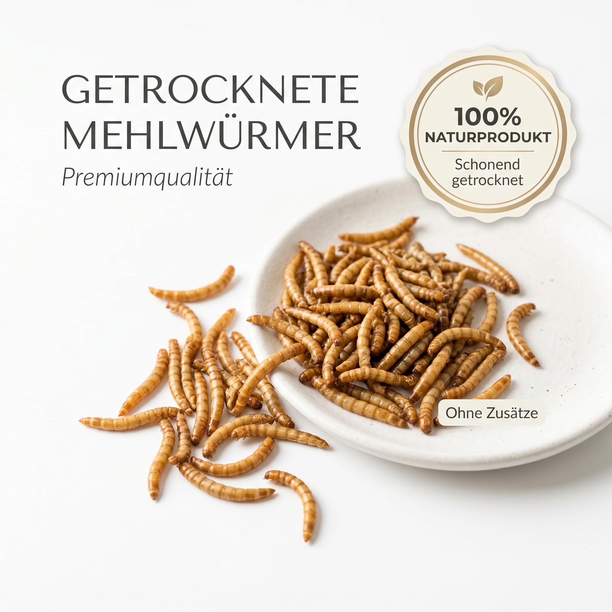 Terrabest Feeders & More Mehlwürmer 520 ml proteinreich