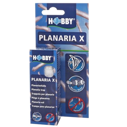 Hobby Planaria X Planarienfalle mit 2 Spezialköder chemiefrei