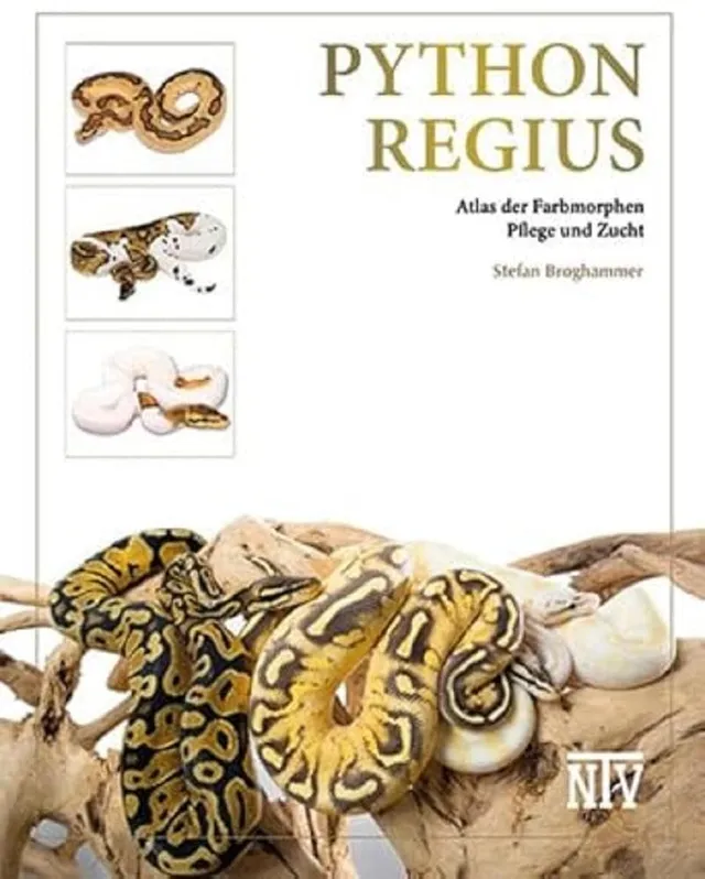 M&S Reptilien Python regius Atlas Buch Farbmorphen Terrarien