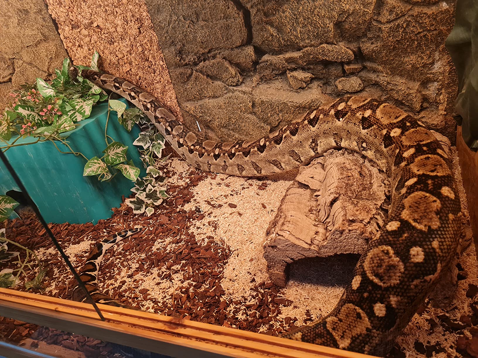 M&S Reptilien Reptile-Wood Fine Bodensubstrat 25 Liter schimmelfest