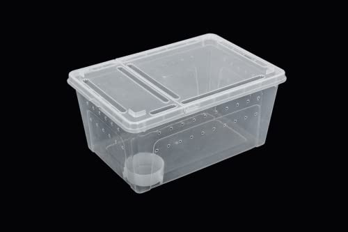 ReptiZoo RT2016M Kunststoffterrarium Medium Wasserschale