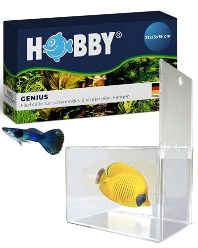 Hobby Genius Fischfalle Aquarium 21x13x15 cm transparent