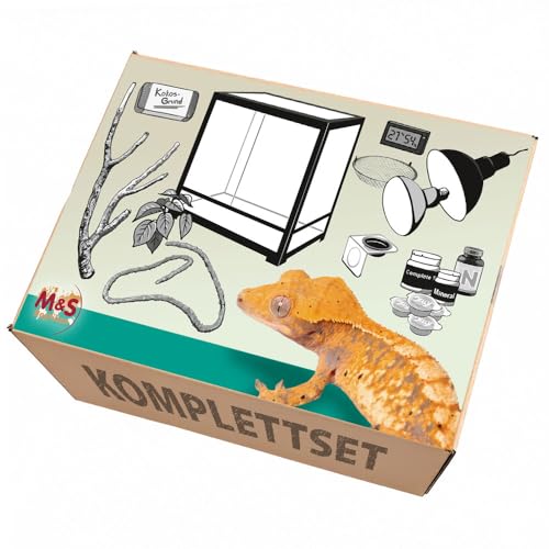 M&S Reptilien Komplettset Kronengecko Terrarium 91x46x90 Glas