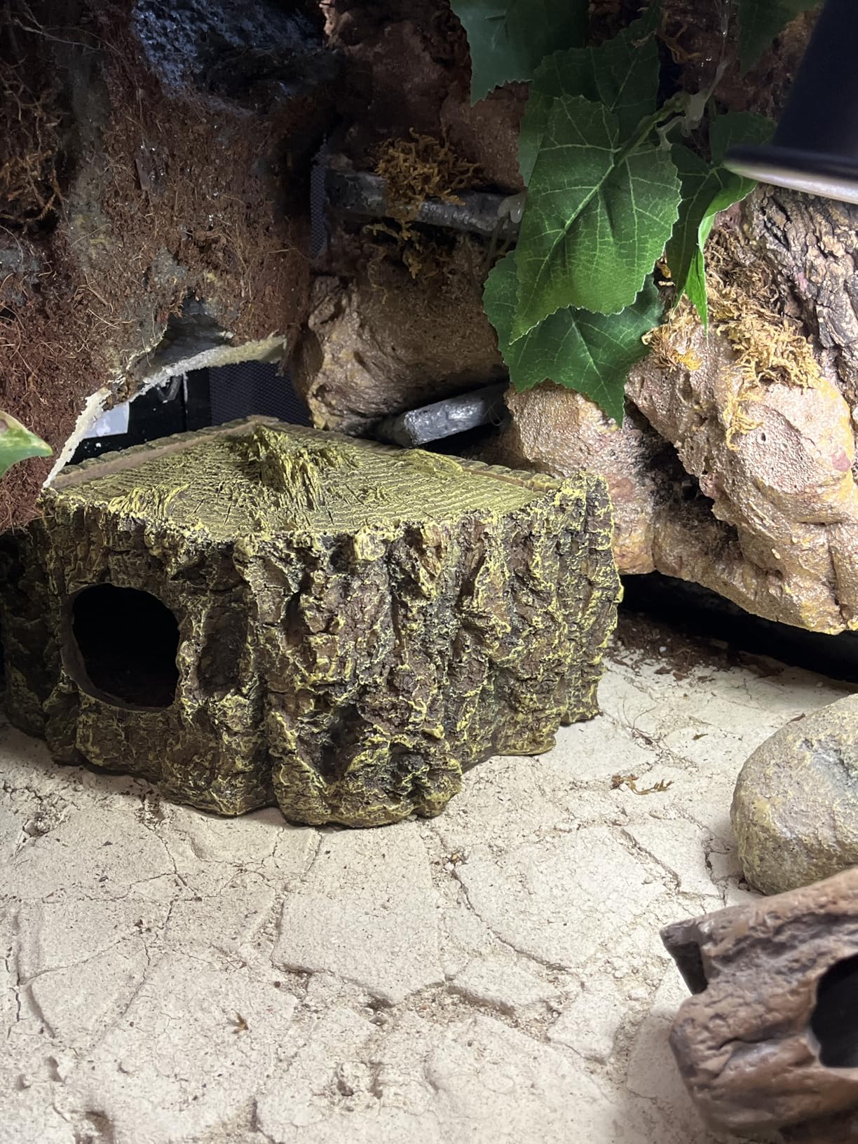 Hobby Bark I Eckhöhle Terrarium 21x15x11 cm naturnah