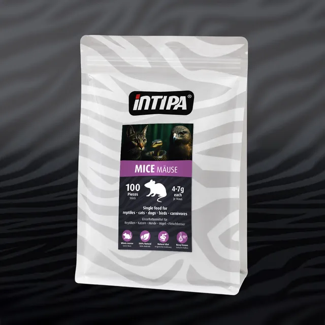 Mäuse 4-7 g Frostfutter 100 Stück für Schlangen