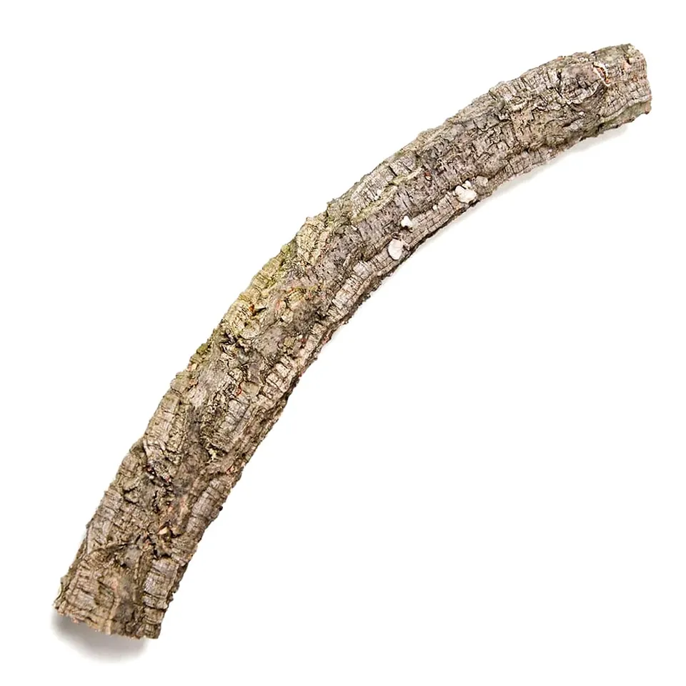 M&S Reptilien Zierkork Tronchos einfach 30-50 cm