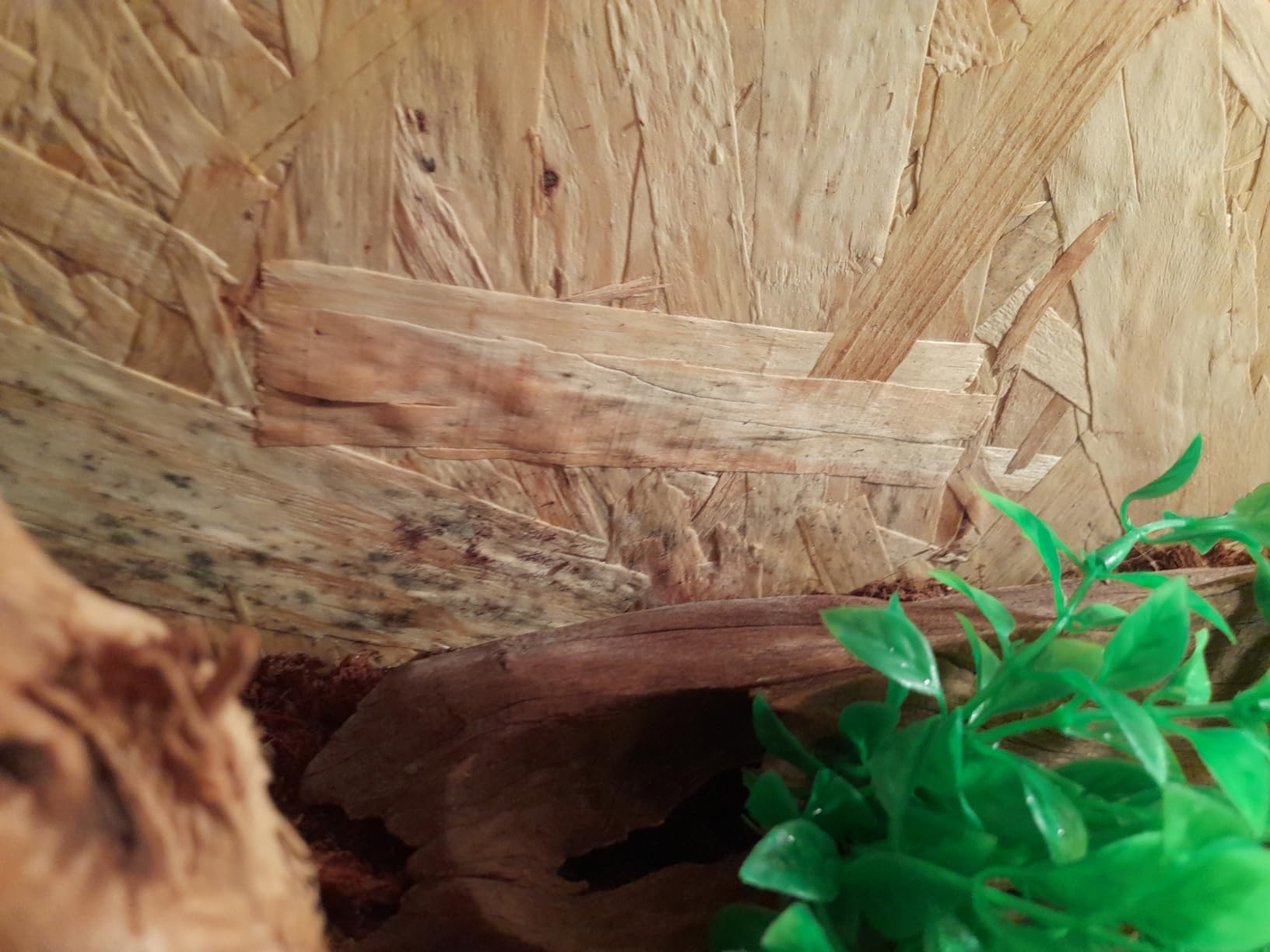 Repiterra Terrarium Holz 100x50x50 cm Seitenbelüftung OSB