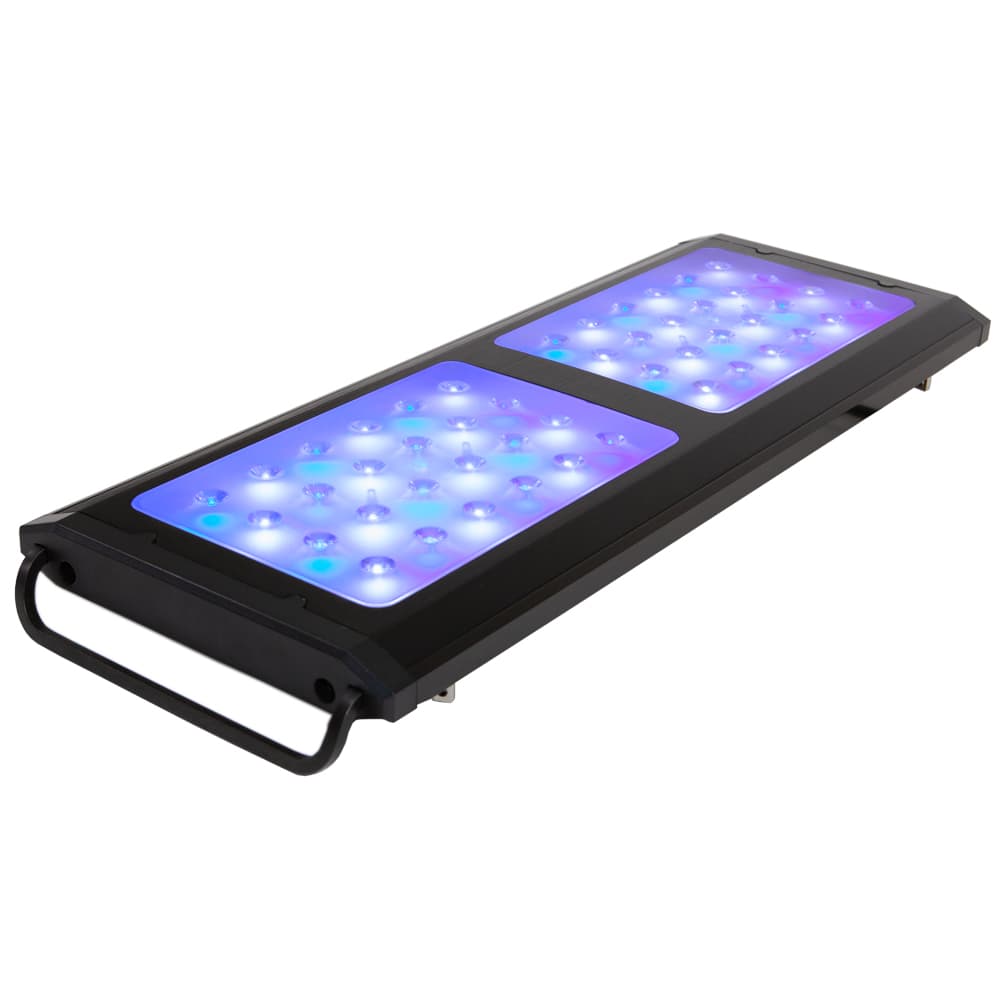 Econlux Solar Stinger StingerBox II Marine LED 3cm Bundle DRV