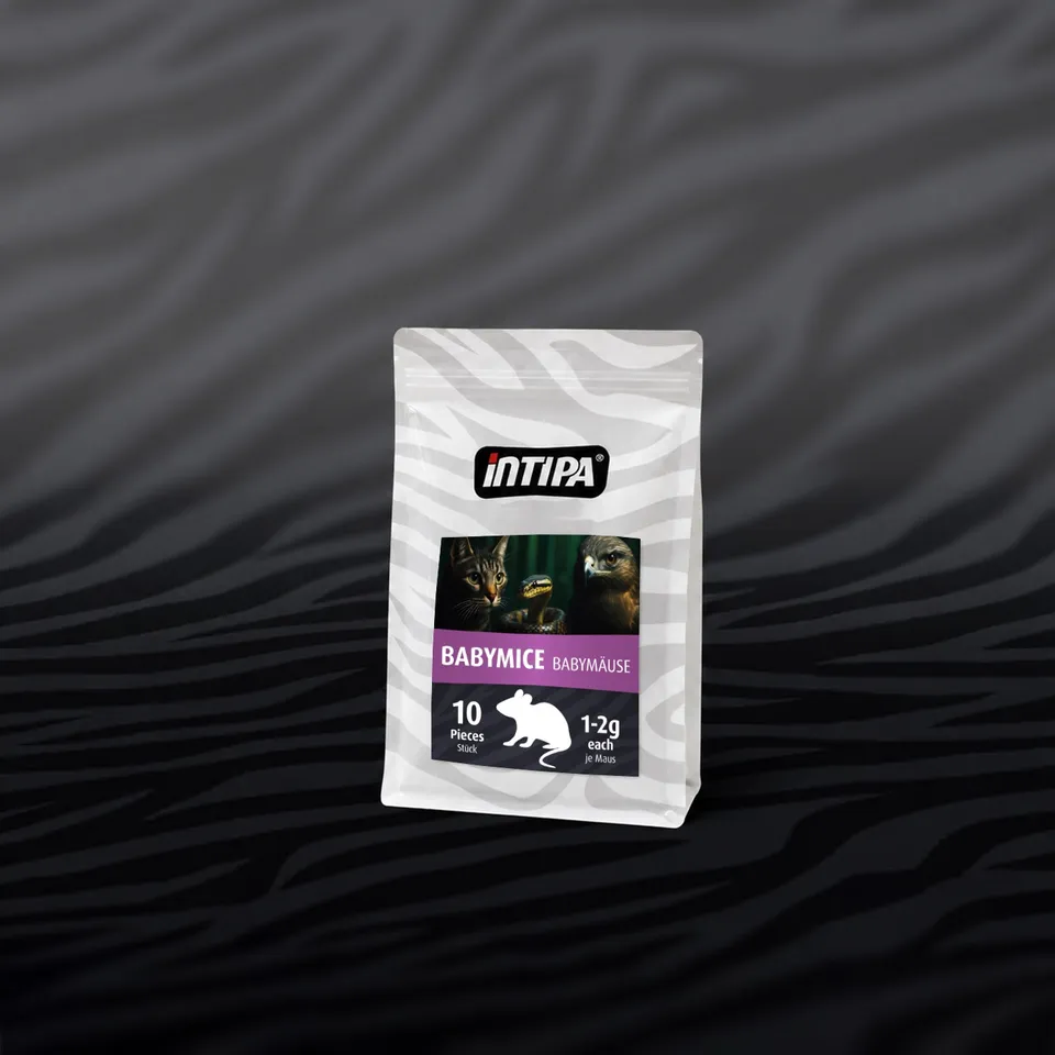intipa Babymäuse Frostfutter 1-2 g 10 Stück