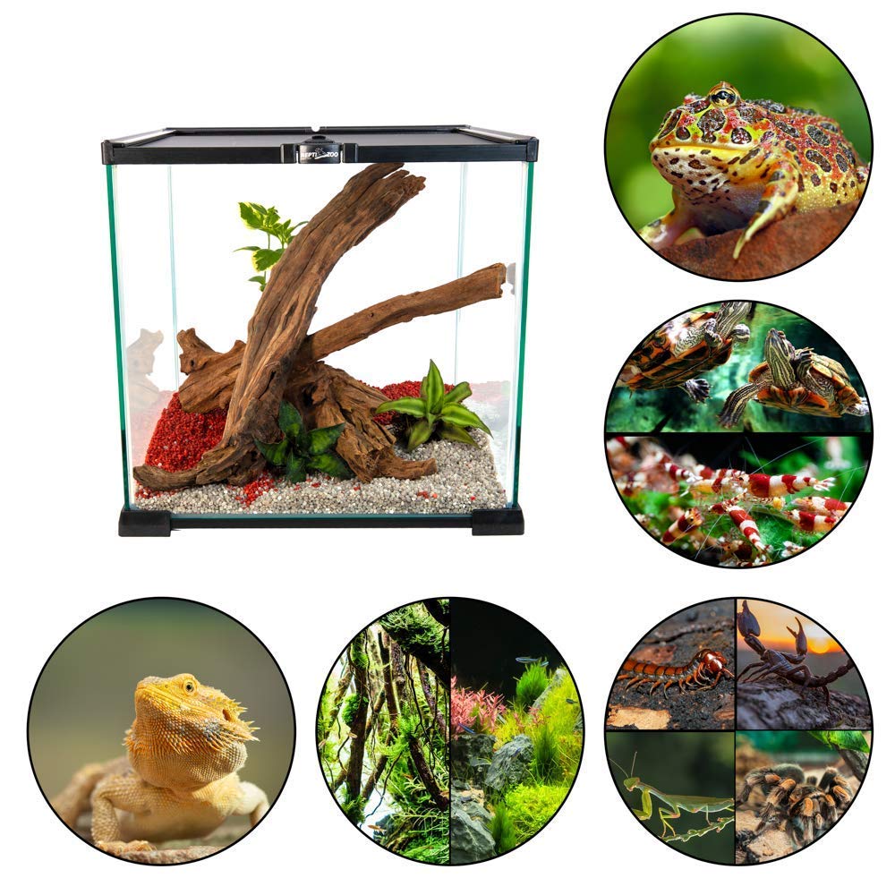 Repti Zoo Simple Habitat Terrarium 31x31x30 cm Futterloch