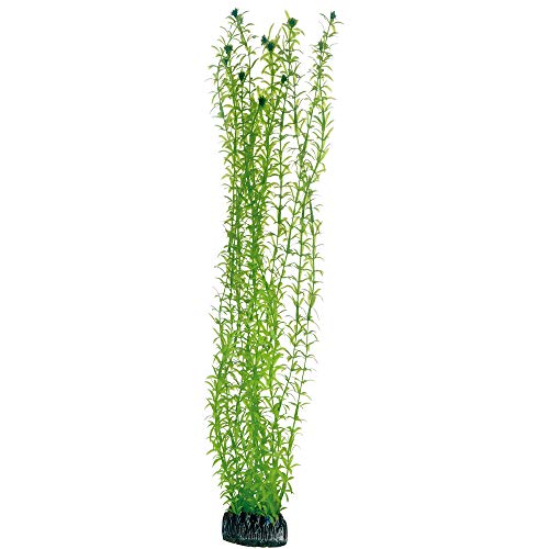 Hobby Lagarosiphon Kunstpflanze 60 cm wasserneutral