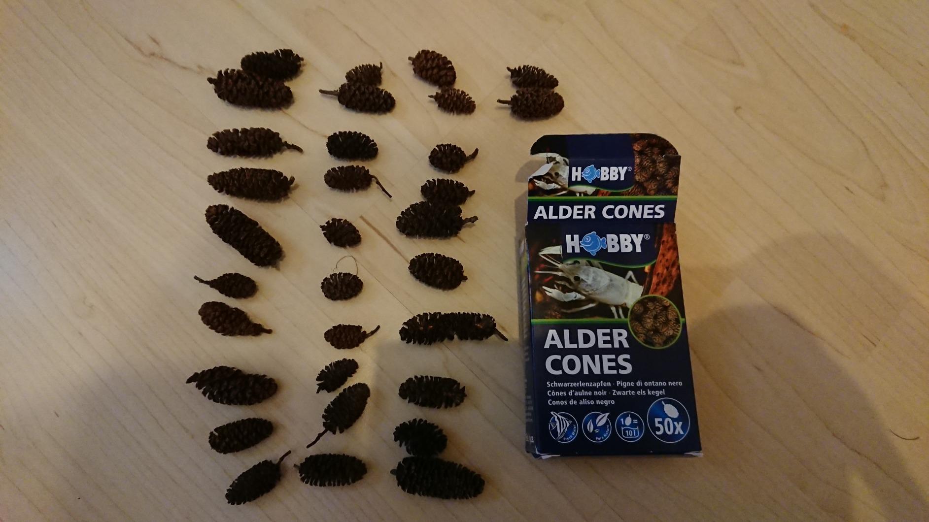 Hobby Alder Cones Erlenzapfen 50 Stück pH-senkend