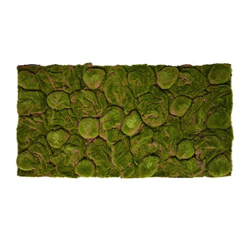Repiterra Terrarium Rückwand Moos 116x58 cm 3D Hintergrund