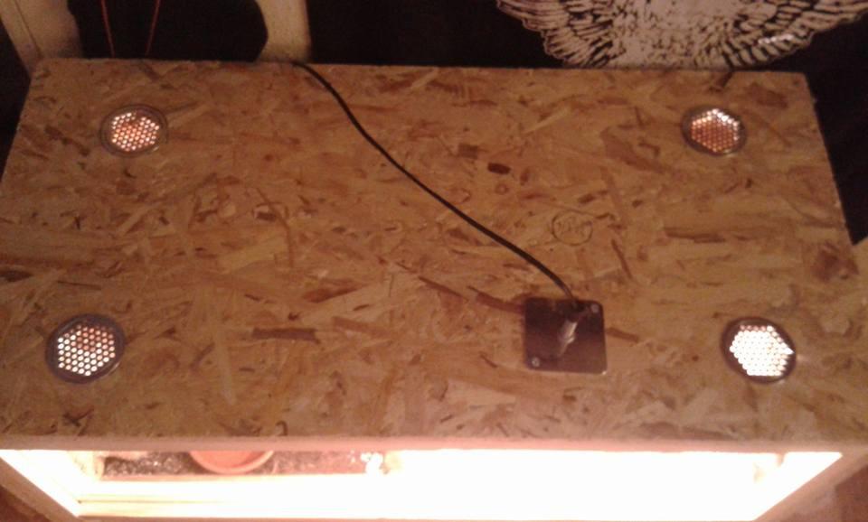 Repiterra Holzterrarium Seitenbelüftung 80x40x40 cm OSB