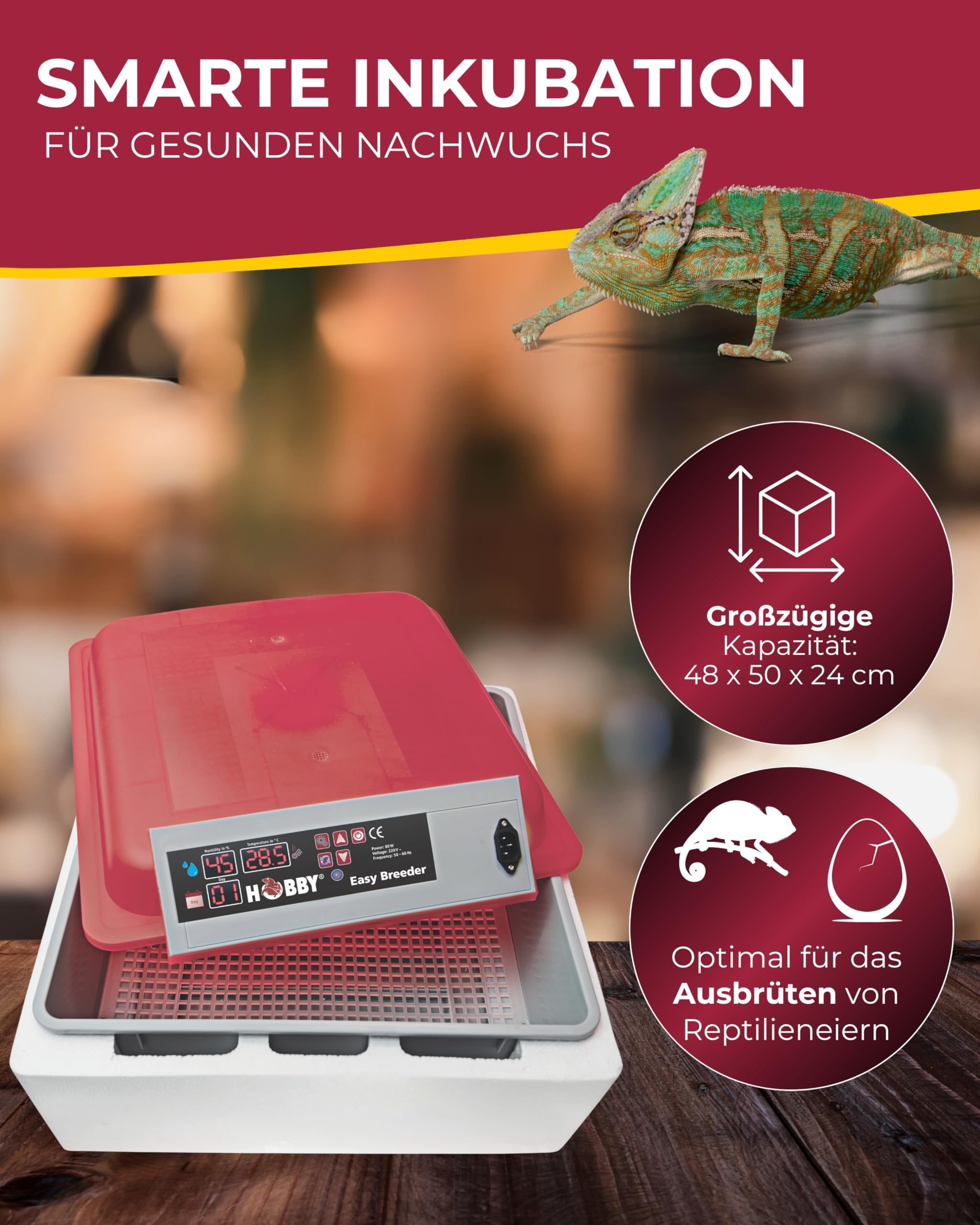 Hobby Easy Breeder Inkubator Brutkasten Reptilieneier 80W