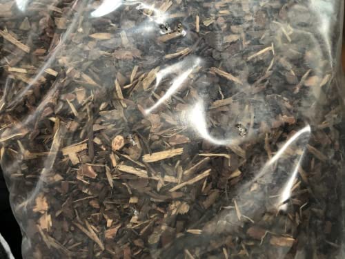 M&S Reptile Bark Pinienrinde 20 Liter Terrarieneinstreu