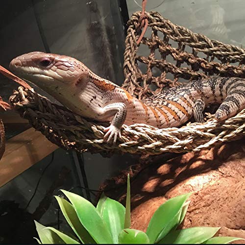 ReptiZoo Hängematte Dreieck 60x40x40 cm Reptilien