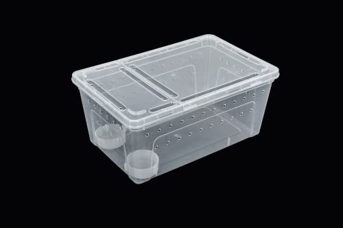 ReptiZoo RT2016L Kunststoffterrarium Large Wasserschale