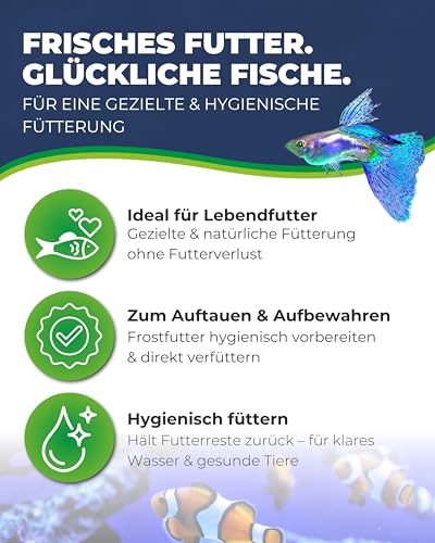 Hobby Multibox I Futterbehälter 10x10x6 cm mit Sieb