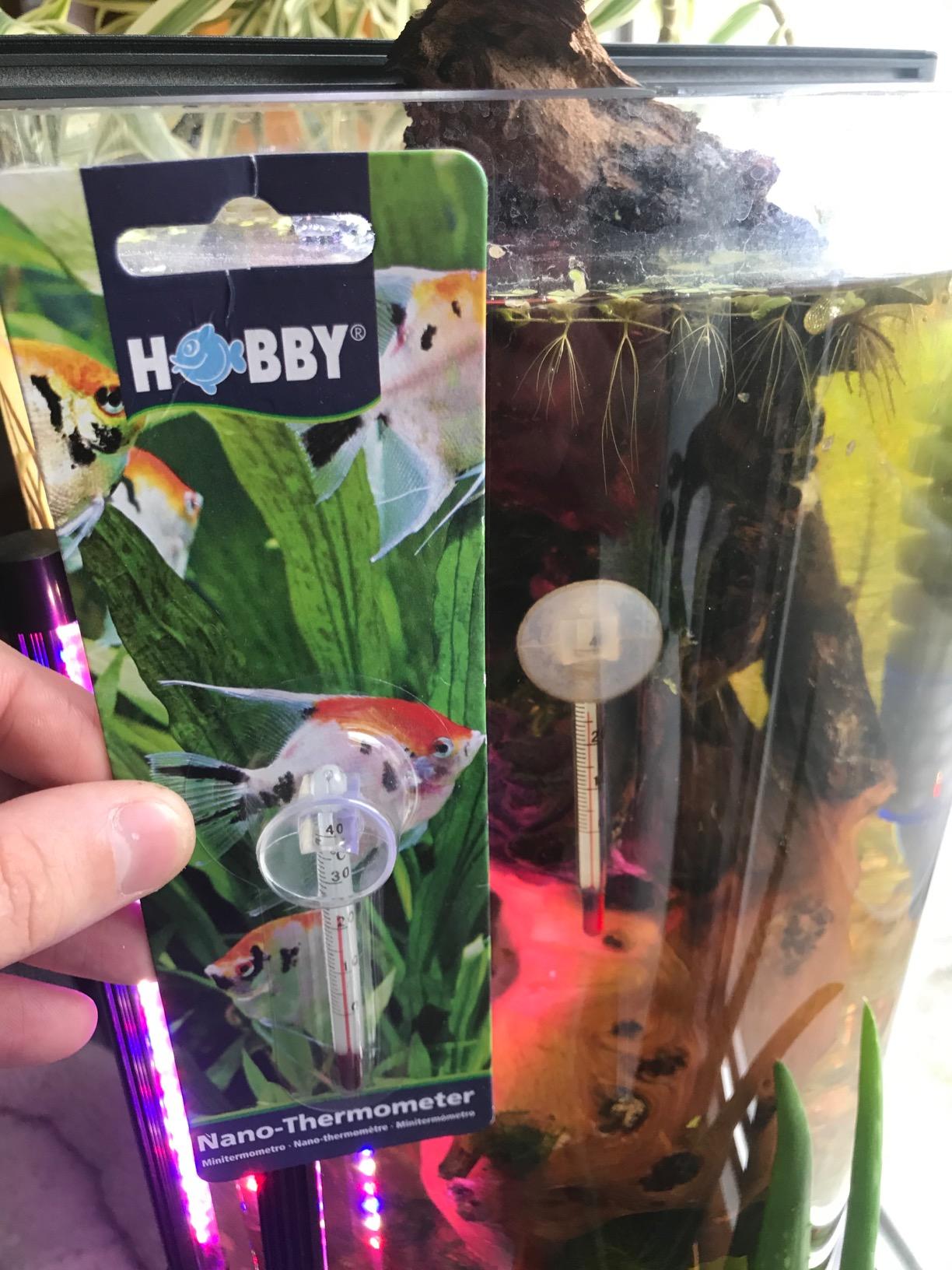 Hobby DT1 Digital-Thermometer dunkelrot Terrarium