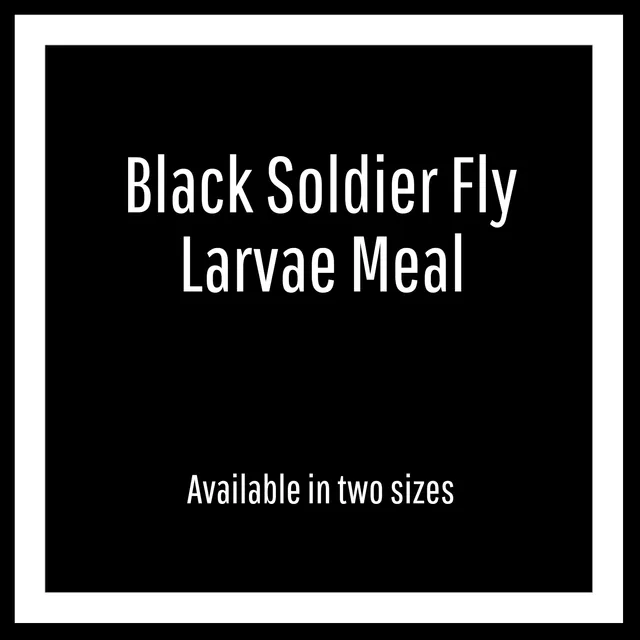 Repashy Black Soldier Fly Meal Futtermehl 340 g proteinreich