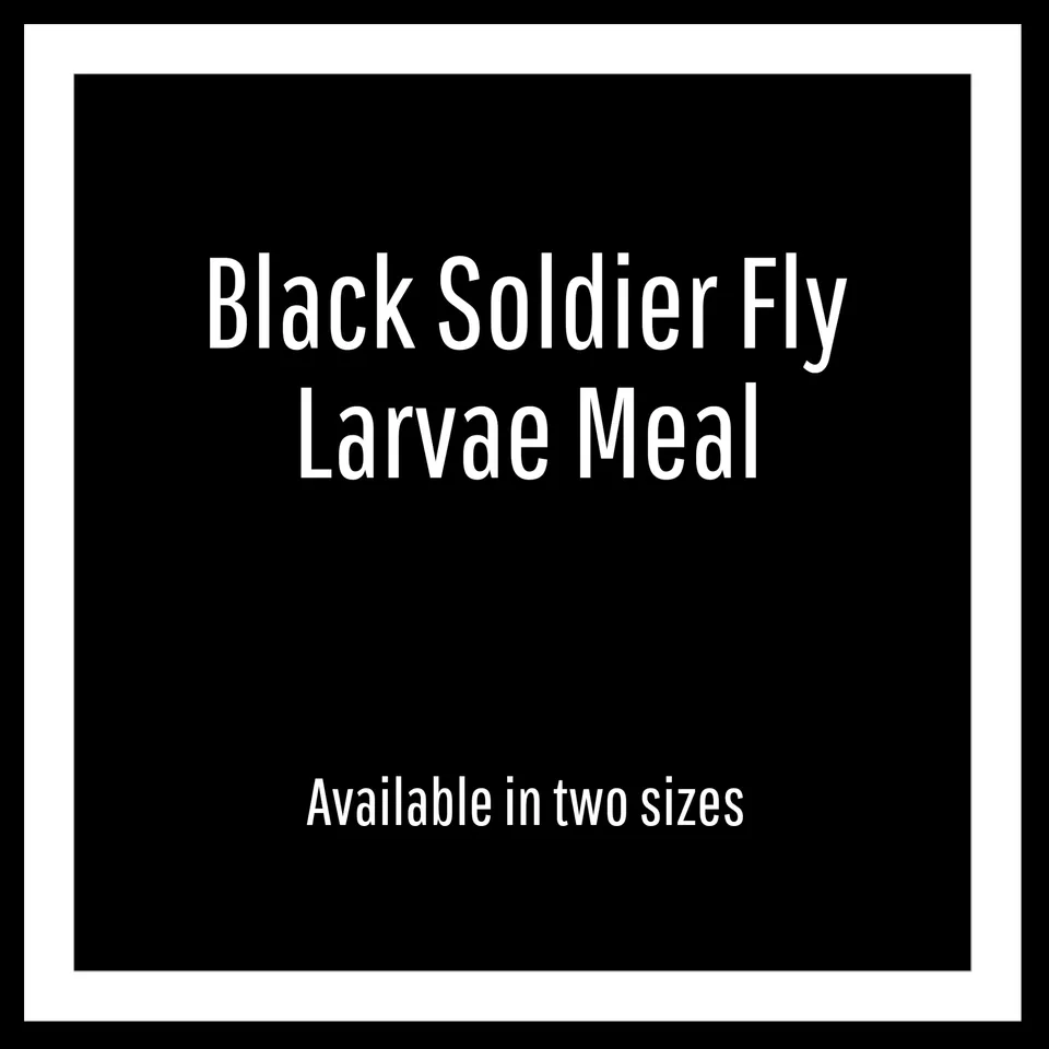 Repashy Black Soldier Fly Meal Futtermehl 340 g proteinreich