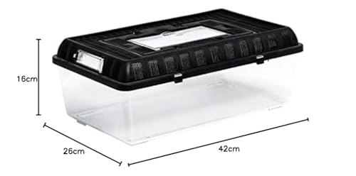 ReptiZoo RT2004B Plastik-Terrarium Flat Box Large 42x26x16 cm