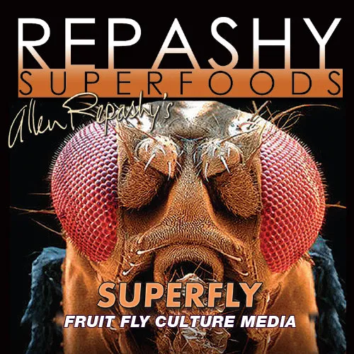Repashy SuperFly Fruchtfliegenmedium 170 g Instant