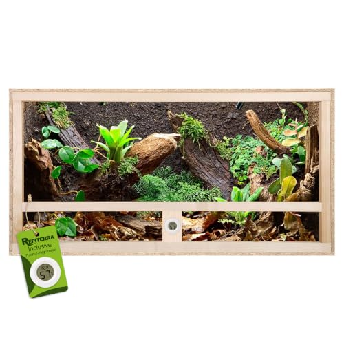 Repiterra Terrarium 60x30x30 cm Seitenbelüftung Holzterrarium