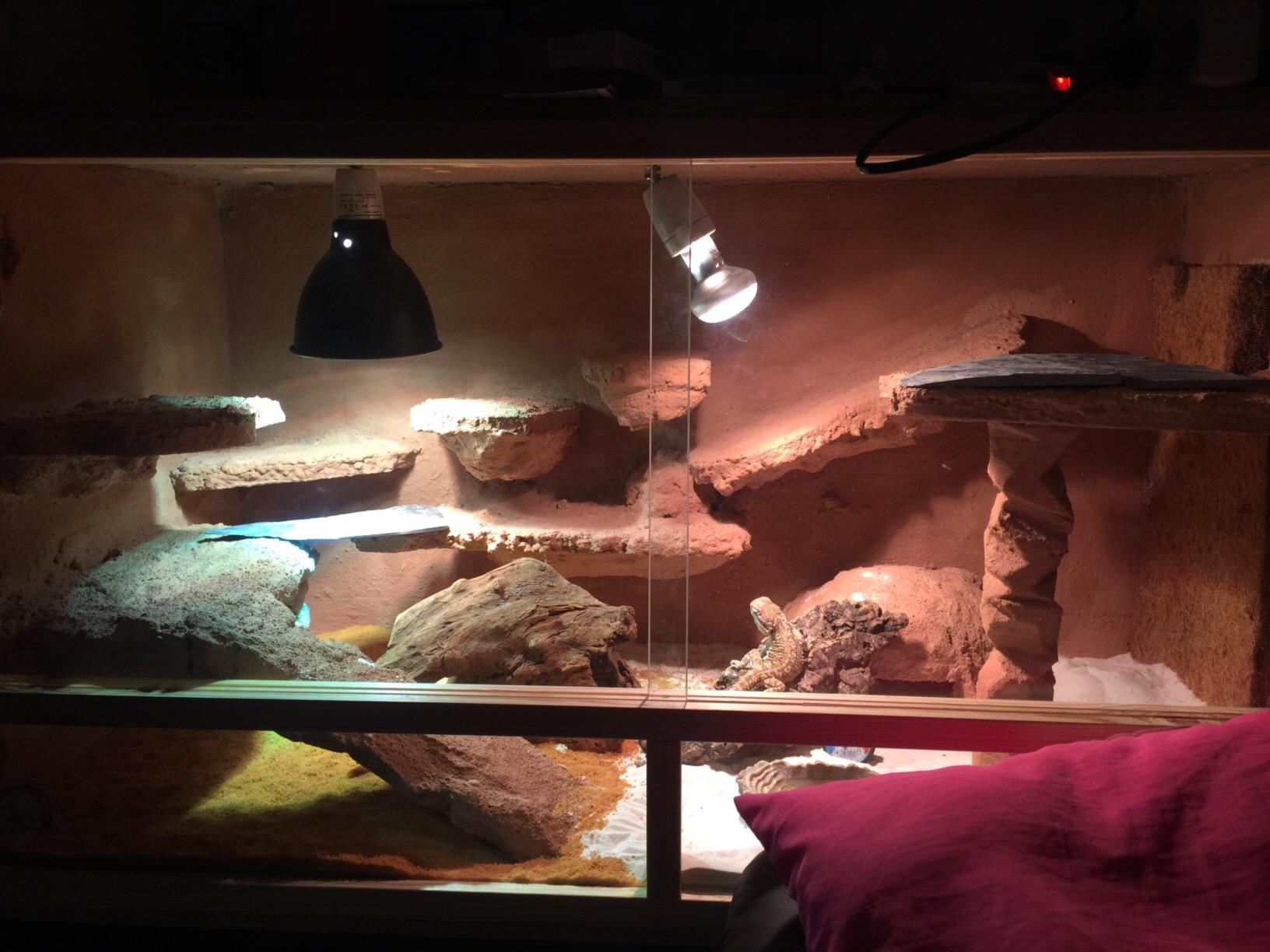 Repiterra Holzterrarium 120x60x60 cm OSB belüftet