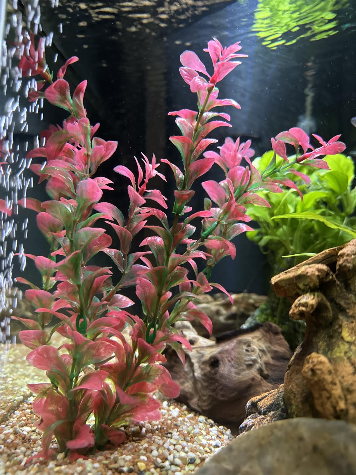 Hobby Ludwigia Kunstpflanze 60 cm Aquaristik Felsen