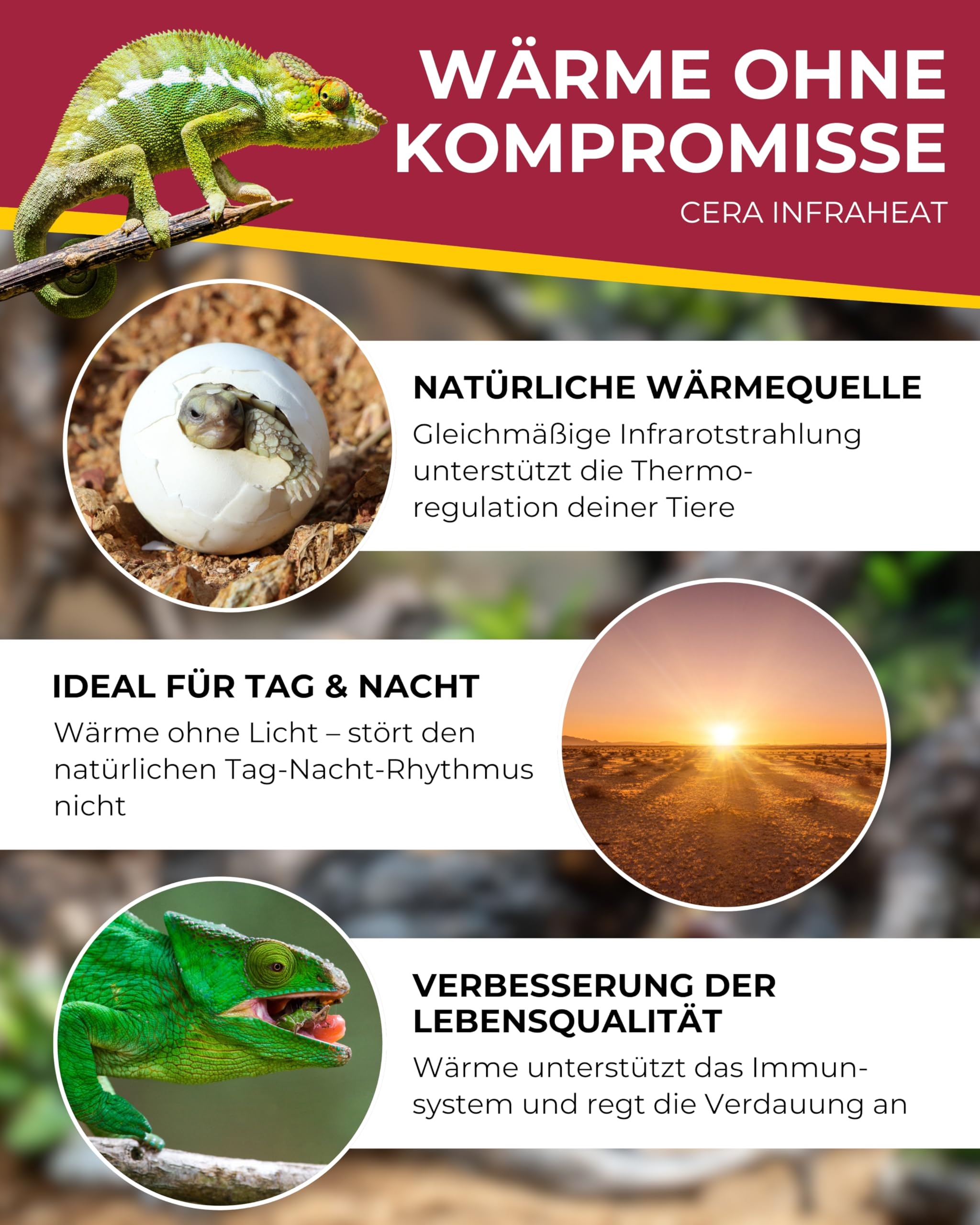 Hobby Cera Infraheat 100 W Keramikstrahler ohne Licht