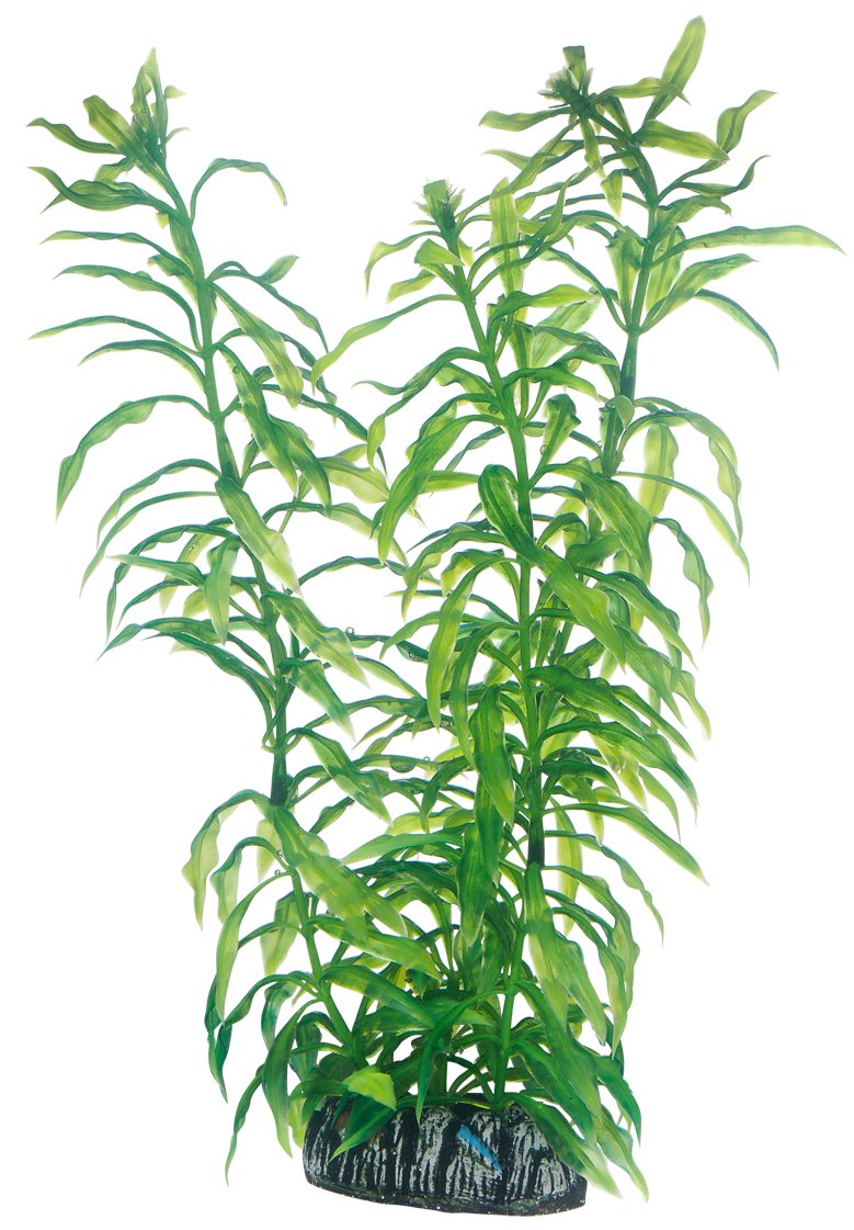 Hobby Heteranthera Kunstpflanze Aquarium 34 cm naturnah felsfixiert