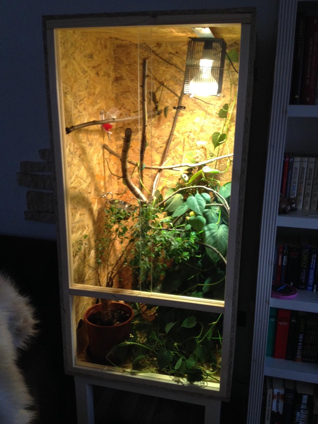 Repiterra Terrarium 60x120x60 cm Seitenbelüftung Holzterrarium