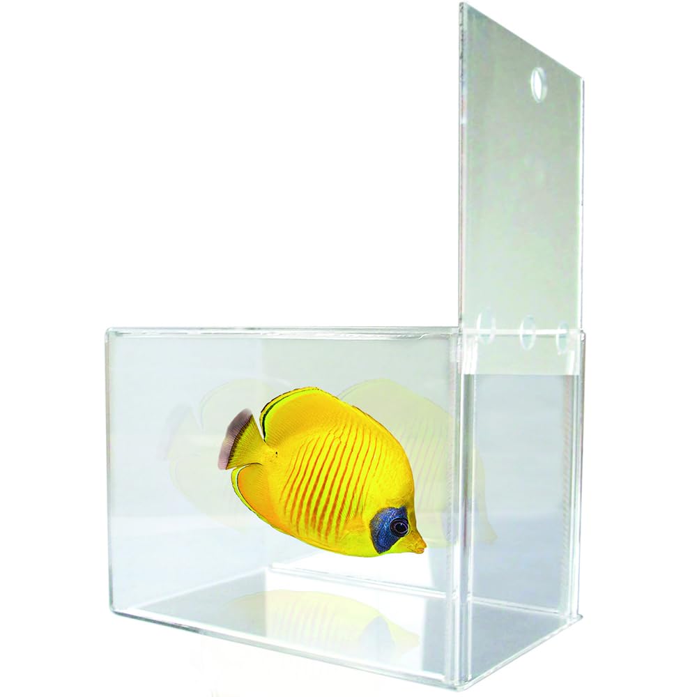 Hobby Genius Fischfalle Aquarium 21x13x15 cm transparent