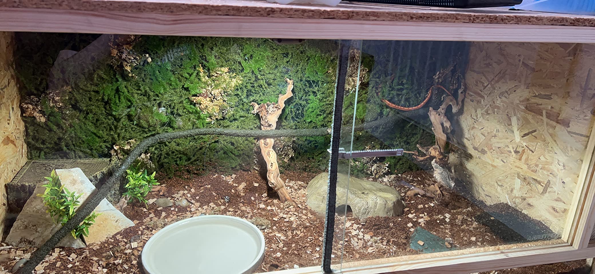 Repiterra Terrarium Rückwand Moos 116x58 cm 3D Hintergrund