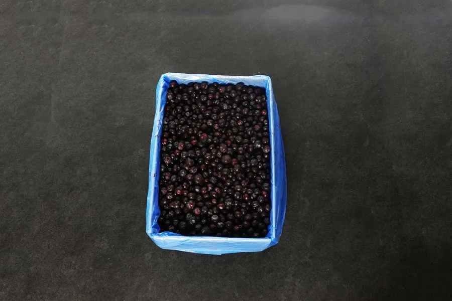 intipa Blaubeeren Frostfutter 10 kg ganz ungezuckert