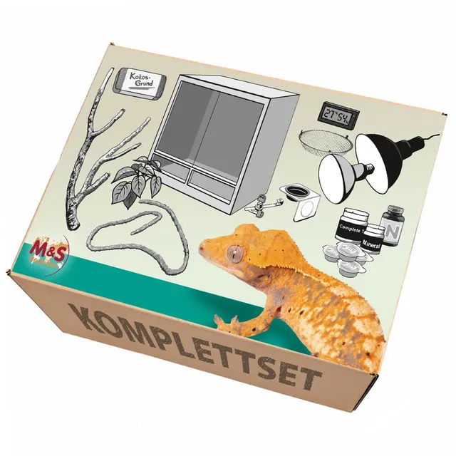 M&S Reptilien Komplettset Kronengecko Terrarium XL Holz hoch
