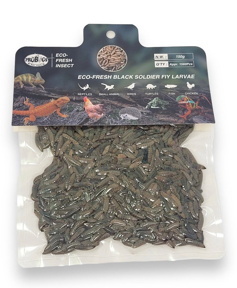 Repashy ProBugs Soldatenfliegenlarven Futter 150 g Calciumreich