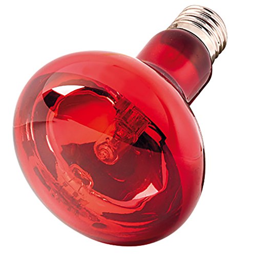 Hobby Infraredlight Eco Infrarotlampe 42W Wärme