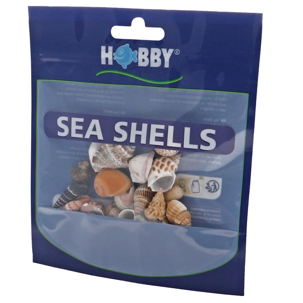 Hobby Sea Shells 40222 Dekomuscheln M 10 Stück natur