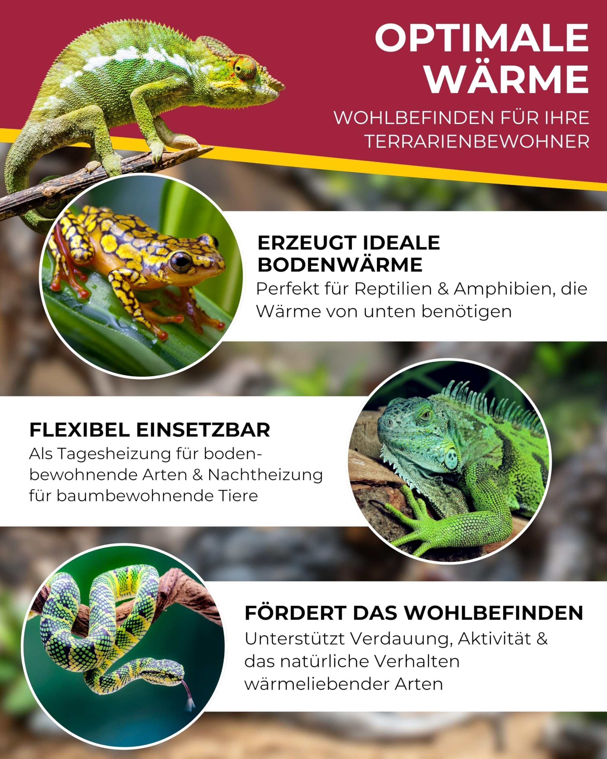 Hobby Terra-Thermo Heizkabel 3m 15W Terrarienheizung