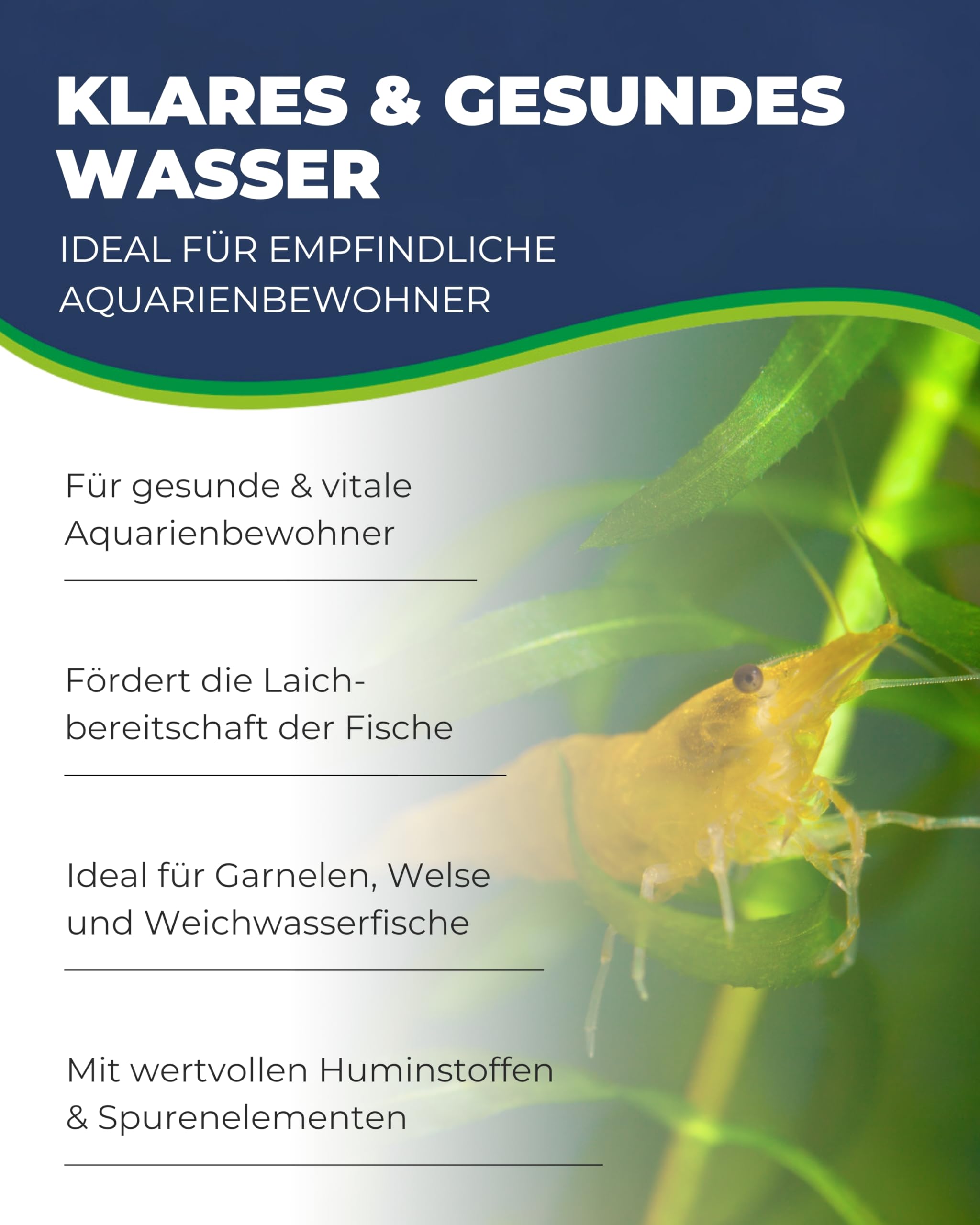 Hobby Alder Cones Erlenzapfen 50 Stück pH-senkend