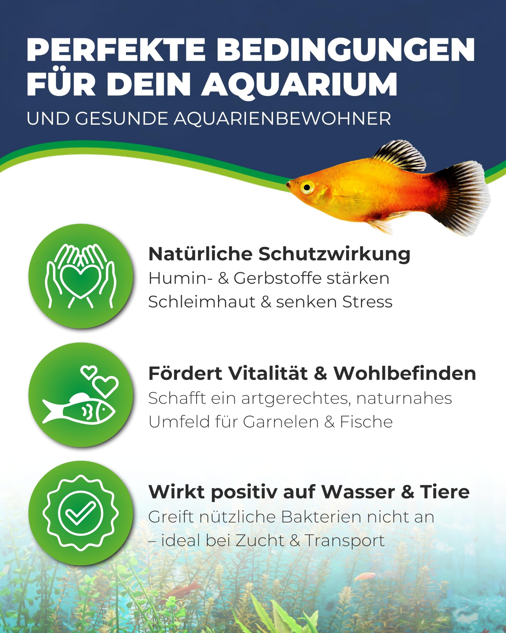 Hobby Nano Catappa Seemandelbaumblätter 12 Stück